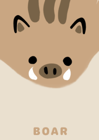 イノシシ