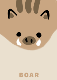 Brown Boar