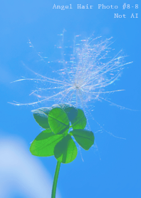 Angel Hair Photo#8-8Not AI