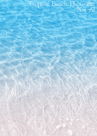 TropicalBeach Photo 222 Not AI