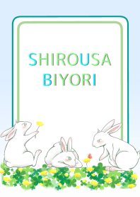 THE WHITE RABBITS (on the grass)