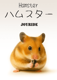 Hamster : 2_2