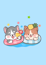 คู่หูต้าวหมา : สีฟ้า