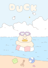 Duck summer duck