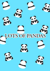 LOTS OF PANDAS/NEON BLUE/BLACK