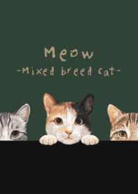 Meow-Mixed breed cat 01-CHRISTMAS GREEN