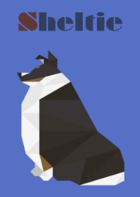 シェルティー（トライカラー）