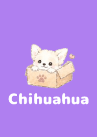 Sketch Chihuahua Purple 01