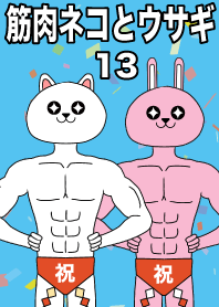 Muscle cat and rabbit 13