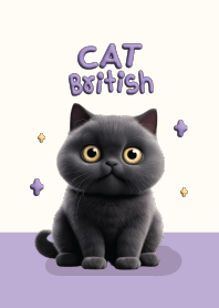 แมวดำบริติช : สีม่วง!