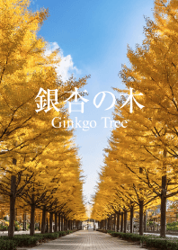 Ginkgo Tree
