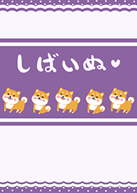 Shiba Inu - Purple (Pu2)