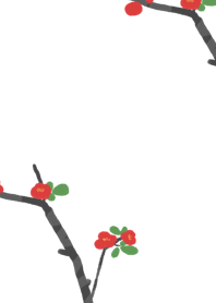 Japanese quince flower