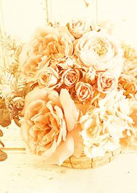 theme【flower】orange