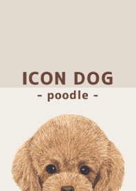 ICON DOG - toy poodle - BROWN/01