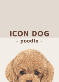 ICON DOG - トイプードル - BROWN/01