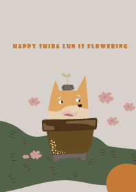開花的快樂柴犬