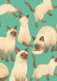 Siamese cat holiday05 blue green