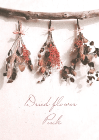 Dried flower_Pink_White