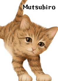 Mutsuhiro Cute Tiger cat kitten