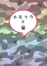 Rainbow camouflage and pawprint