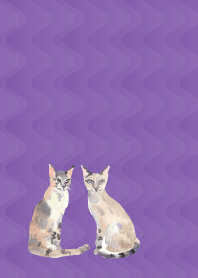 Calm cats on purple