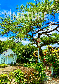 The nature28