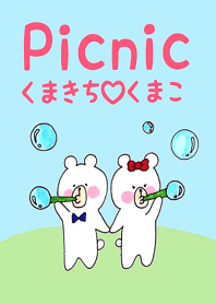 Picnic bears