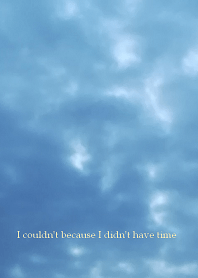 I couldn't because I didn't have time