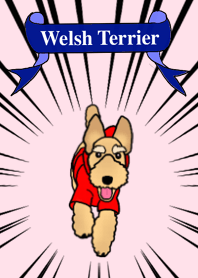 ウェリッシュテリアのトランプくん