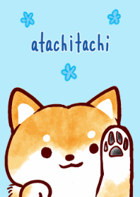 あたちたちのしばいぬ きせかえ３