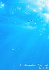 Underwater Photo 42 Not AI