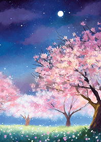 Beautiful night cherry blossoms#1272