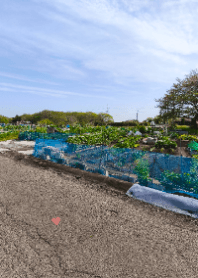 Peaceful Vegetable Garden