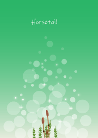 March's birth flower,Horsetail.