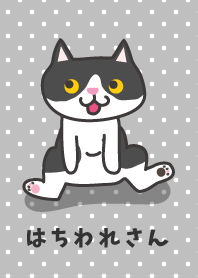 はちわれさん