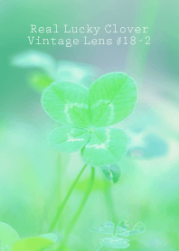 四つ葉のクローバー Vintage Lens #18-2