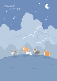 Starrii Night