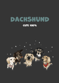dachshund1 / black
