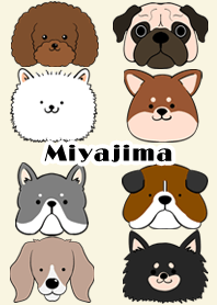 Miyajima Scandinavian dog style