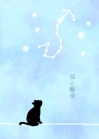 Zodiac sign and cats-Scorpio-