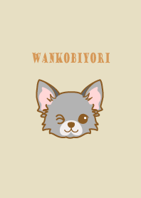 WANKOBIYORI(chihuahua)3
