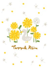 たんぽぽとアヒル