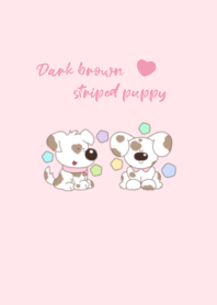 Dark brown striped puppy