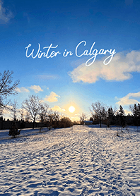 Winter in Calgary (2)