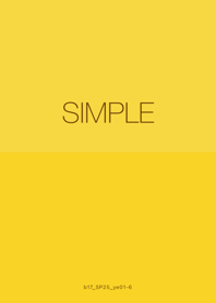 b17_25_yellow1-6