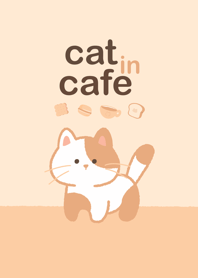 Cat in cafe
