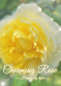 Charming Rose