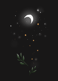 靜靜日常 | 夜空