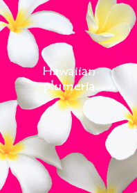 Hawaiian white plumeria theme